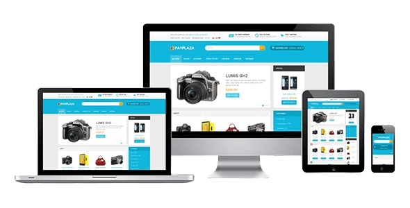 Mobile & Web Responsive